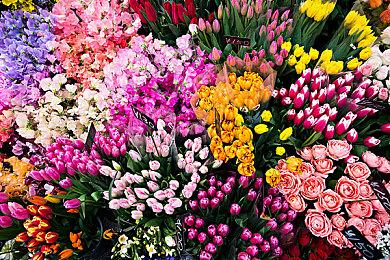 KK官方对战平台S9震撼来袭 500%超值豪华战令奖励等你来拿！